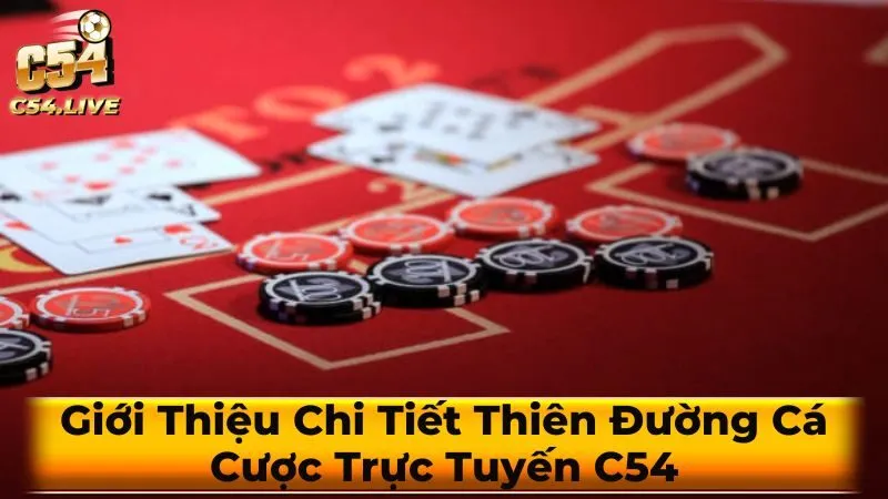 C54 - Nơi Hội Tụ Những Trò Chơi Đỉnh Cao