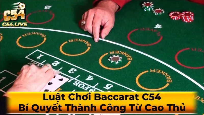 Cách đặt cược Baccarat