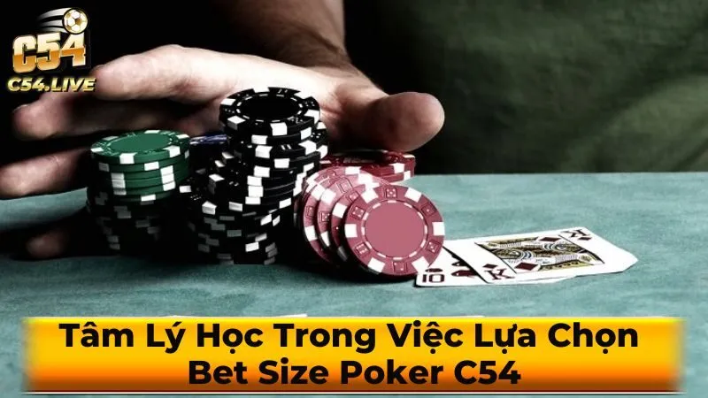 Các loại bet size phổ biến và cách sử dụng