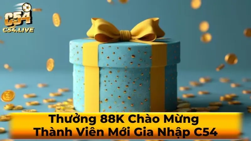 Các Câu Hỏi Thường Gặp