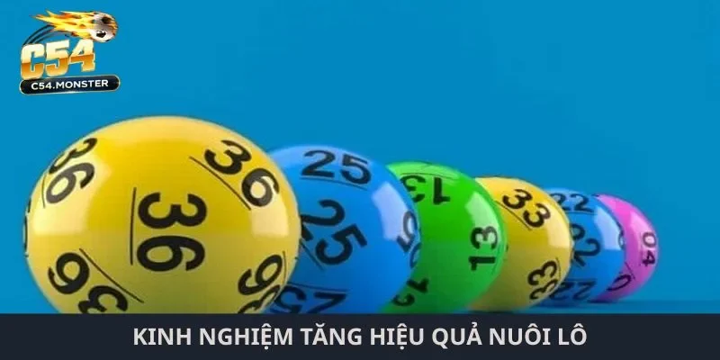 Cách nuôi lô khung 2 ngày Kinh nghiệm tăng hiệu quả nuôi lô