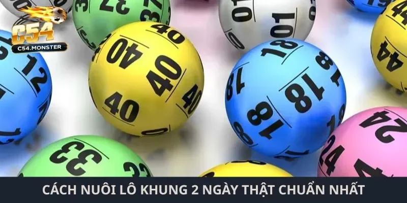 Cách nuôi lô khung 2 ngày Cách nuôi lô khung 2 ngày thật chuẩn nhất
