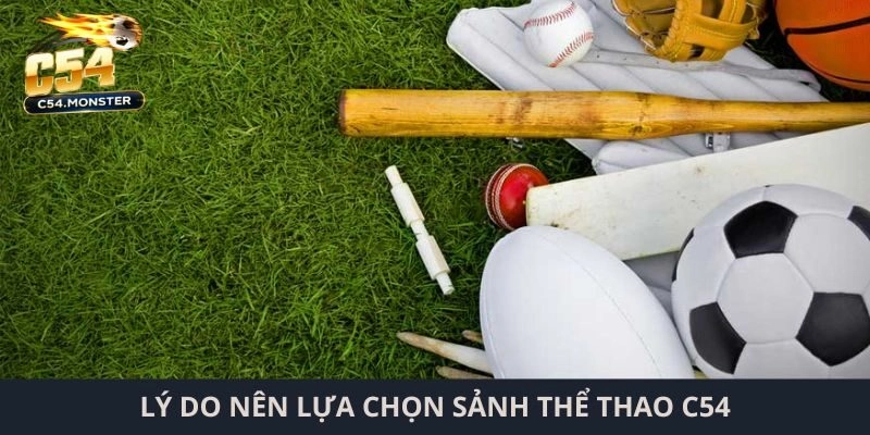 Lý do nên lựa chọn sảnh thể thao C54
